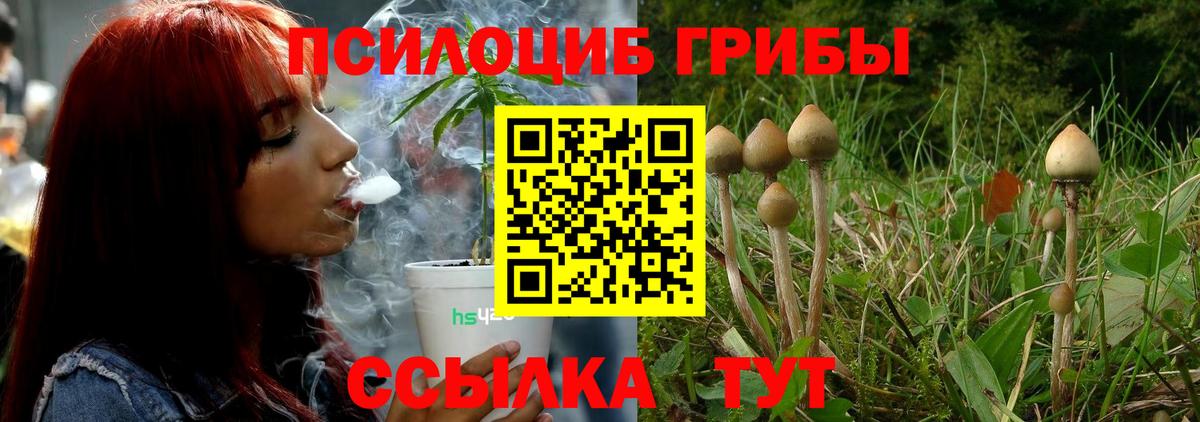 Галлюциногенные грибы Magic Shrooms Камышлов