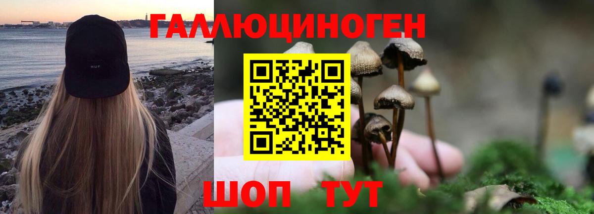 Камышлов  Псилоцибиновые грибы мицелий  Псилоцибиновые грибы мицелий  Вход с VPN 